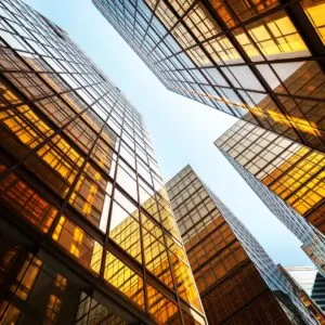 SAP Cash & Liquidity Management