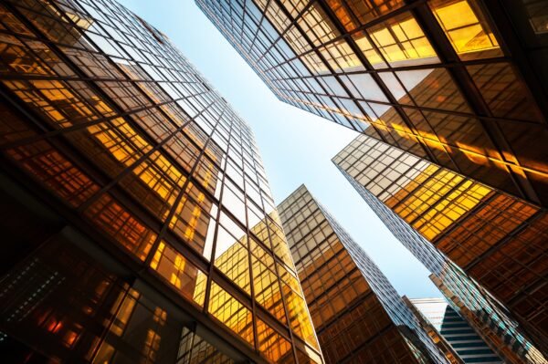 SAP Cash & Liquidity Management