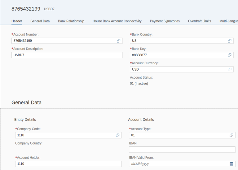 SAP Bank Account Management - AIERP2