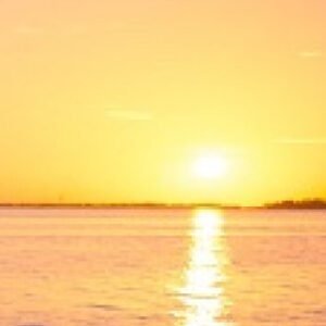 SAP Cash & Liquidity Management Consulting course
